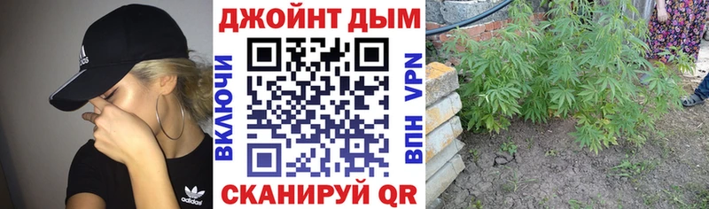 блэк спрут как зайти  Белгород  Бошки марихуана семена 